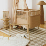 Canopy Crepe Rose