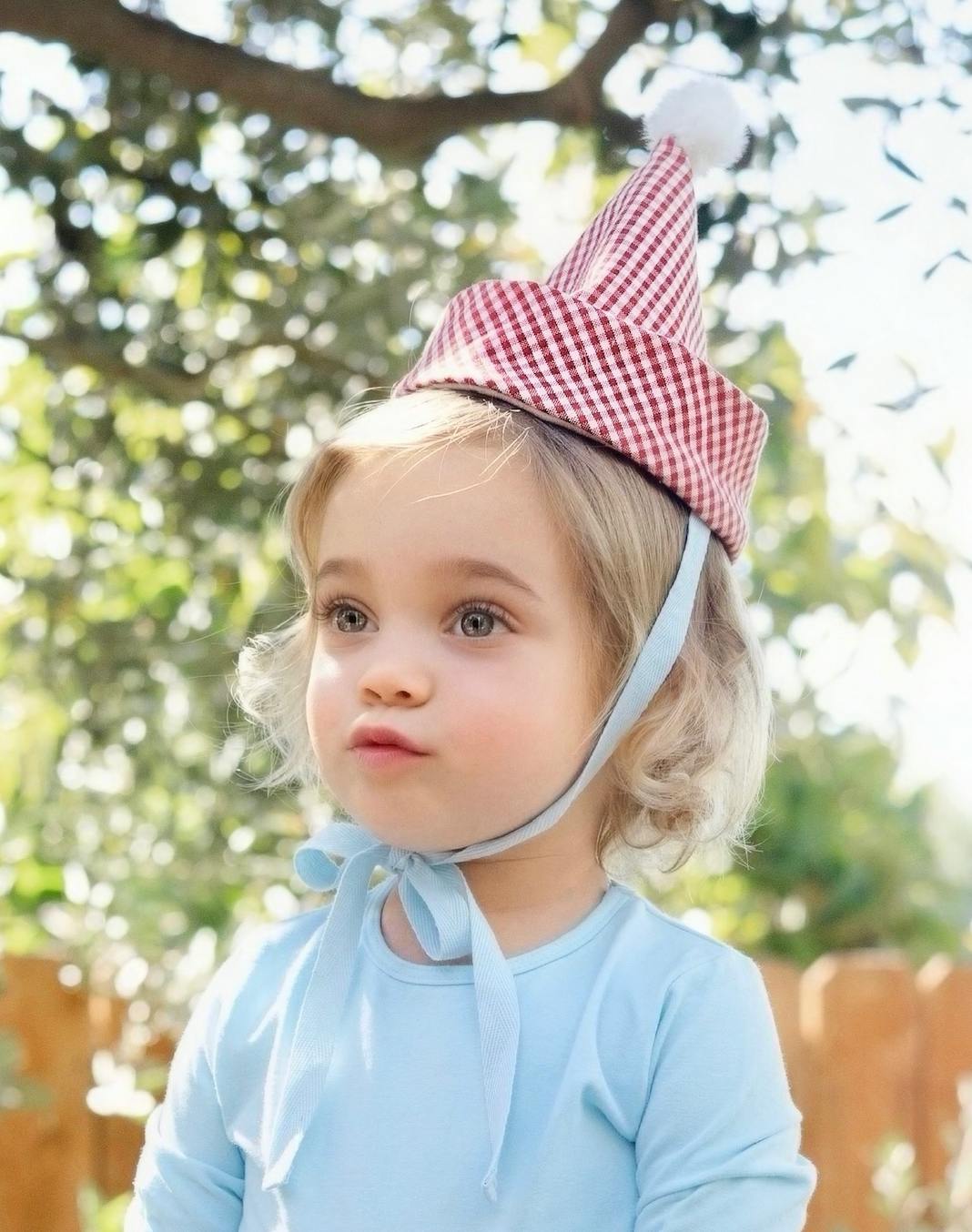 Gingham Party Hat