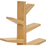 Spruce Tree Bookcase in Honey