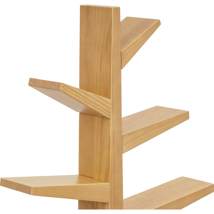 Spruce Tree Bookcase in Honey