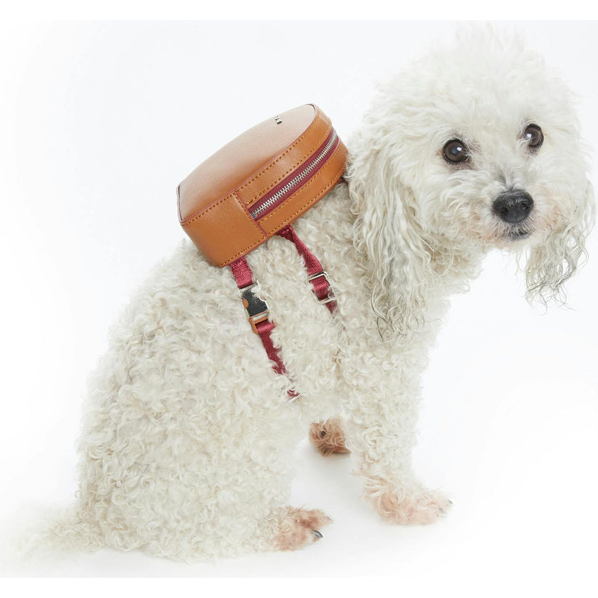 Dog Backpack