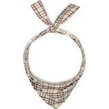 Holiday Neckwear, Plaid