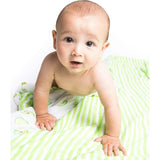 Organic Muslin Four-Layer Reversible Snug Blanket