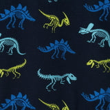 Kids (2-4) French Terry Hoodie & Jogger Set | Dino Adventure
