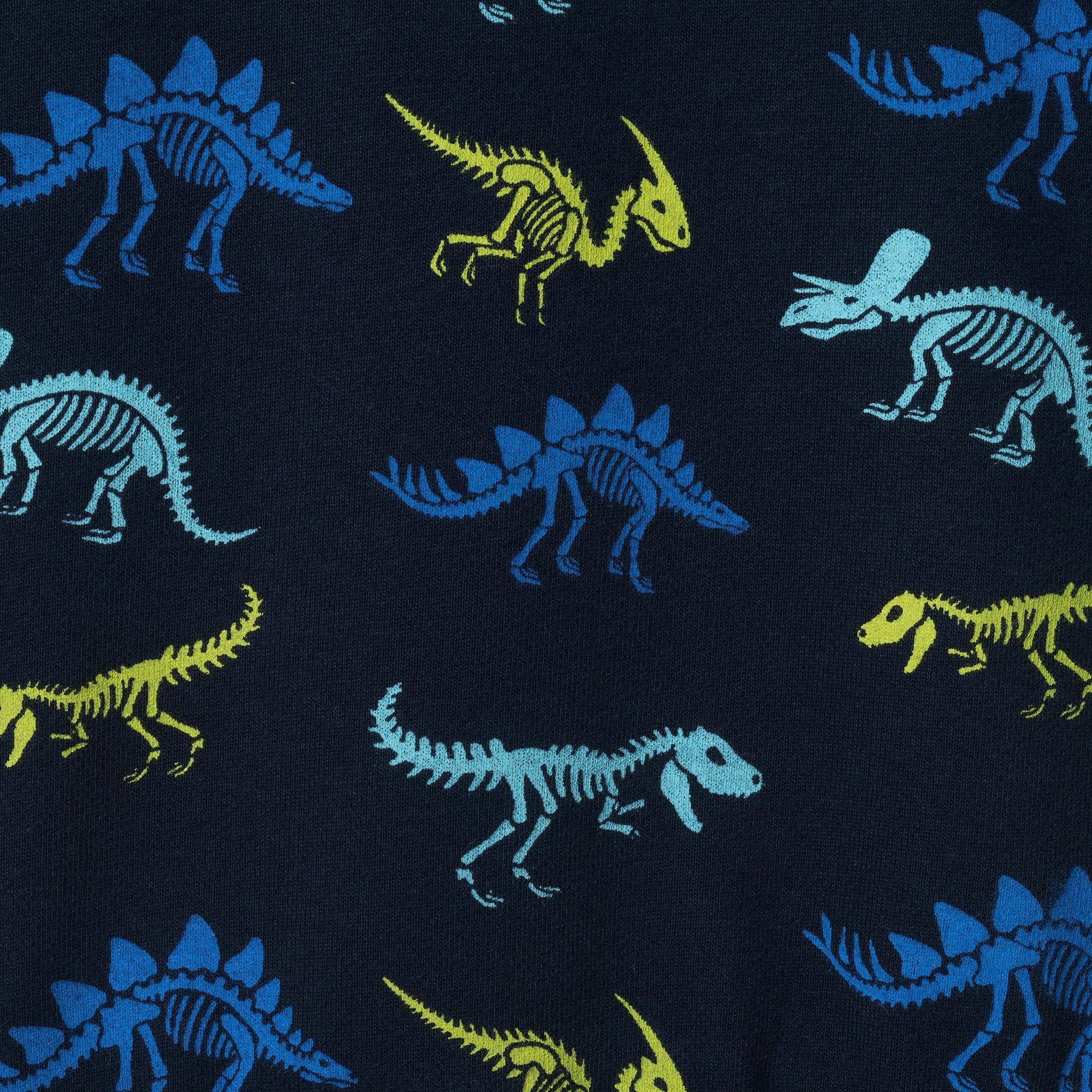 Kids (2-4) French Terry Hoodie & Jogger Set | Dino Adventure