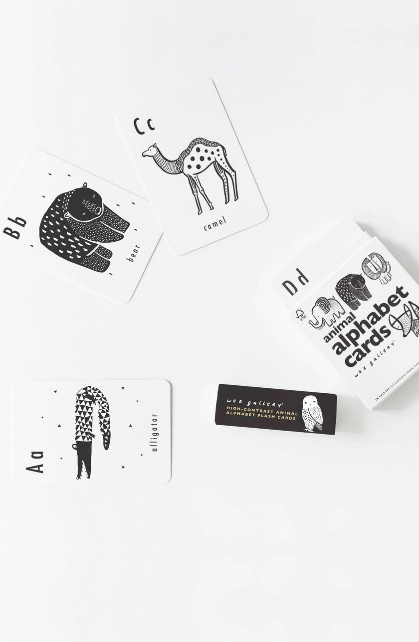 Mix, Match & Learn Bundle
