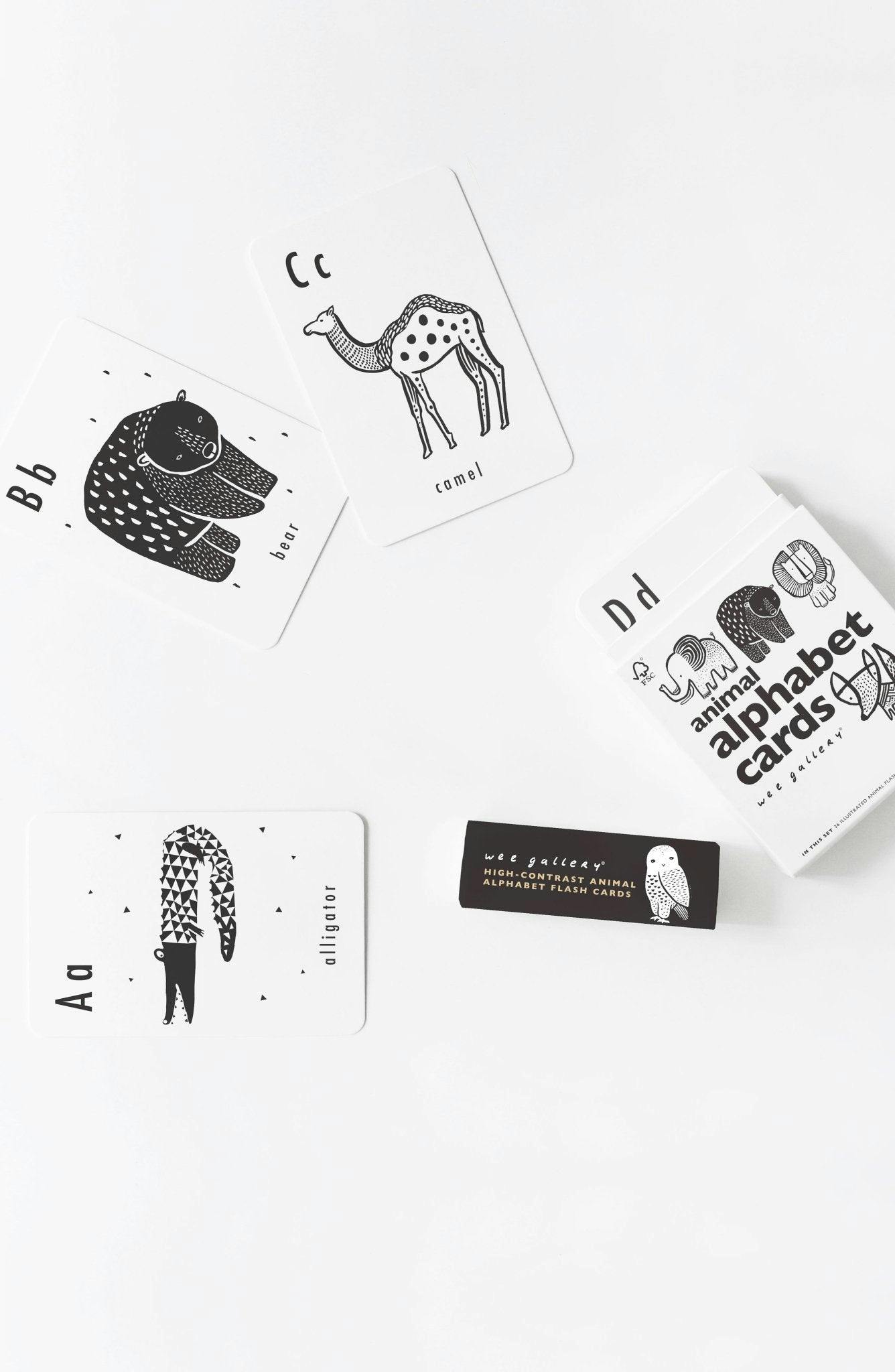 Mix, Match & Learn Bundle