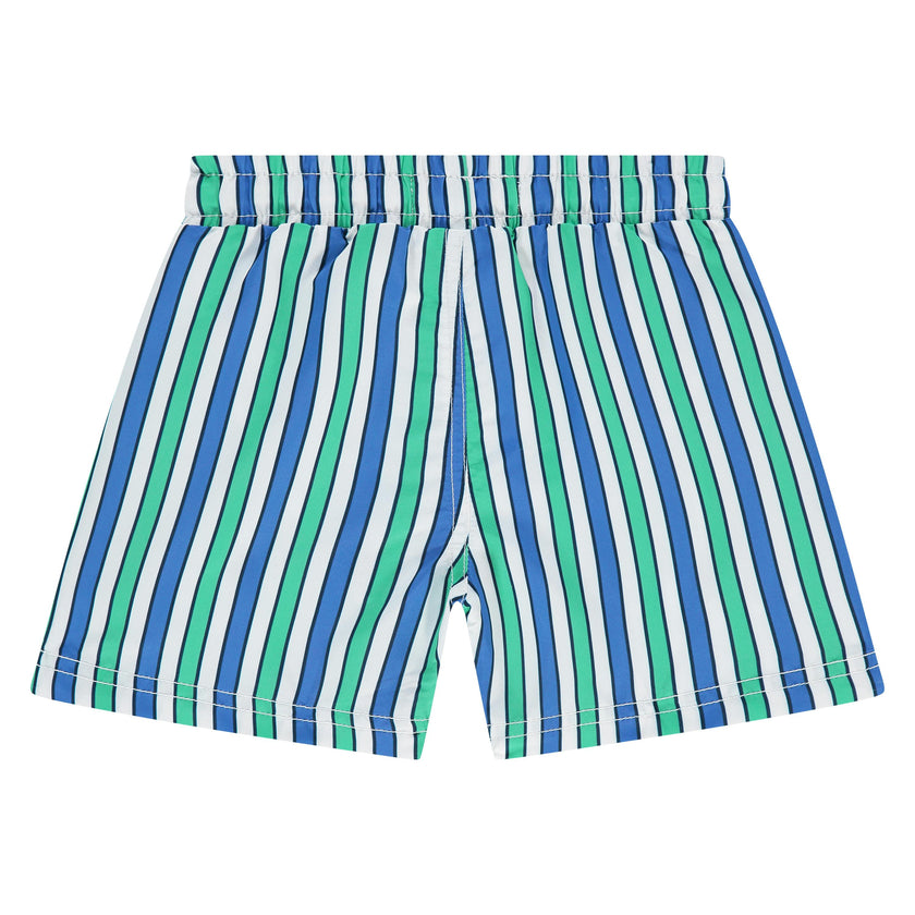 Multi Striped Swim Shorts
