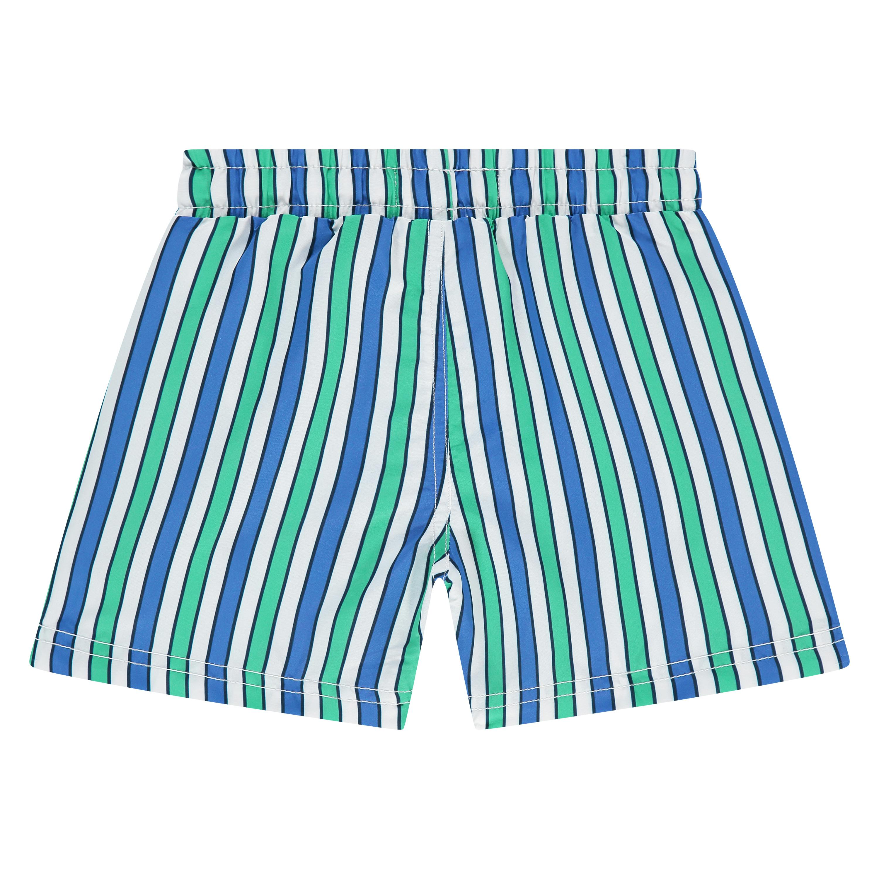 Multi Striped Swim Shorts