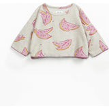Short Sleeve Watermelon Print Terry Sweater