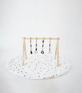 Play Gym Set