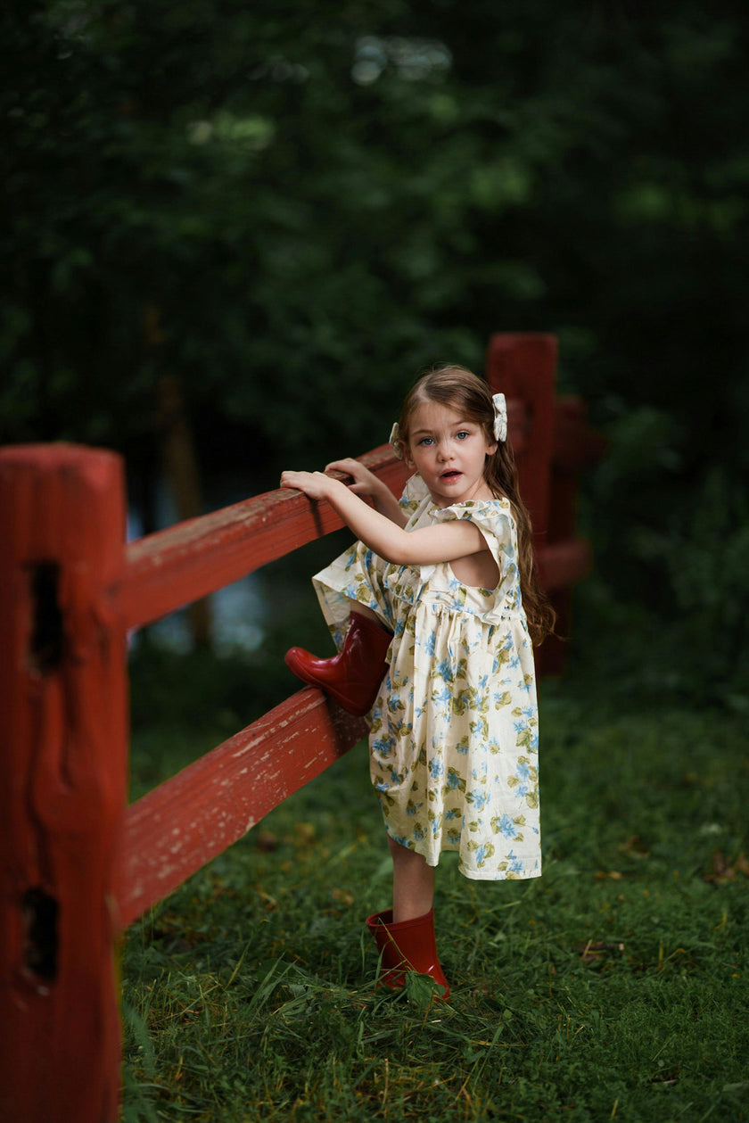 Neomi Dress | Cornflower Blue