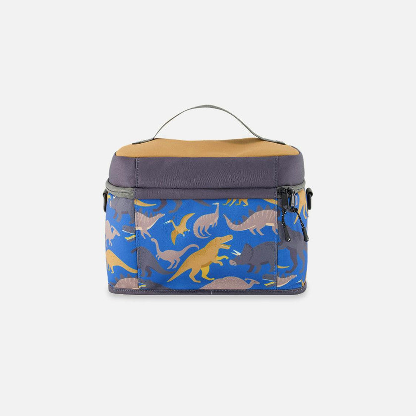 Little Boy Dinosaur Durable Practical Lunch Box