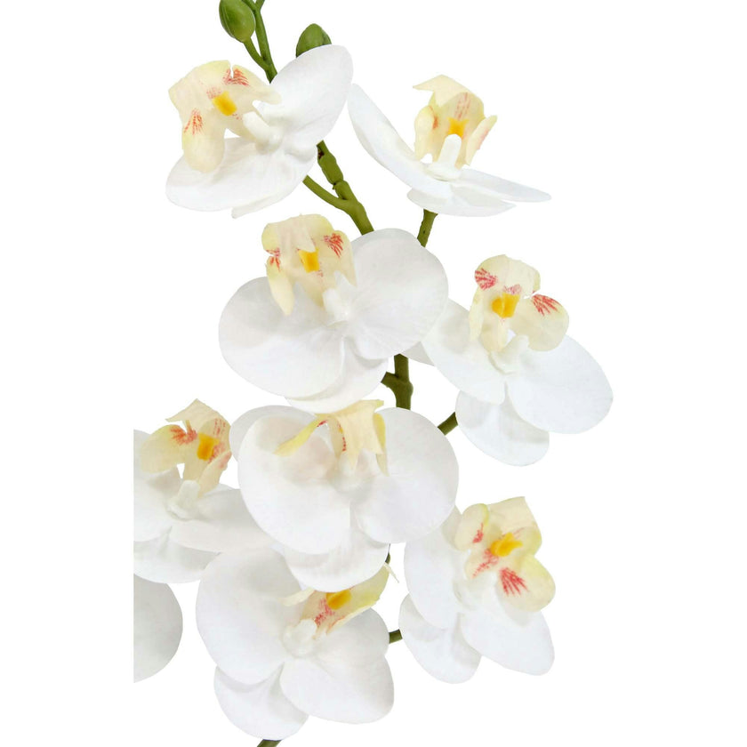 Artificial 2-Stem Phalaenopsis White Orchid