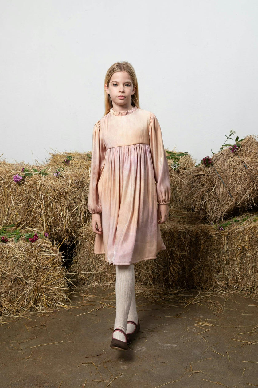 Elizabeth Dress, Multi