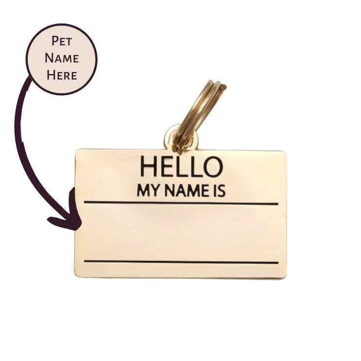 Hello My Name is Pet ID Tag