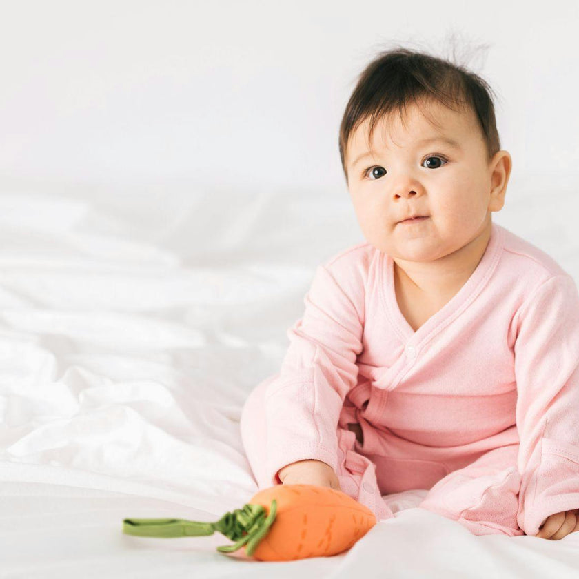 Carrot Stroller Toy