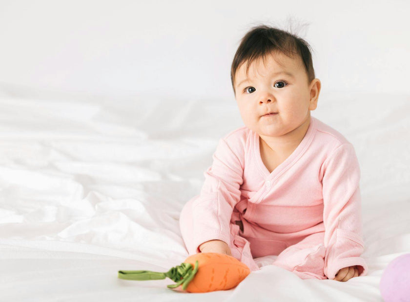 Carrot Stroller Toy