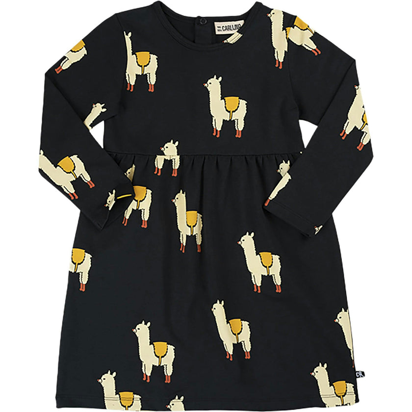 Graphic Print Peplum Detail Round Neck Long Sleeve Dress