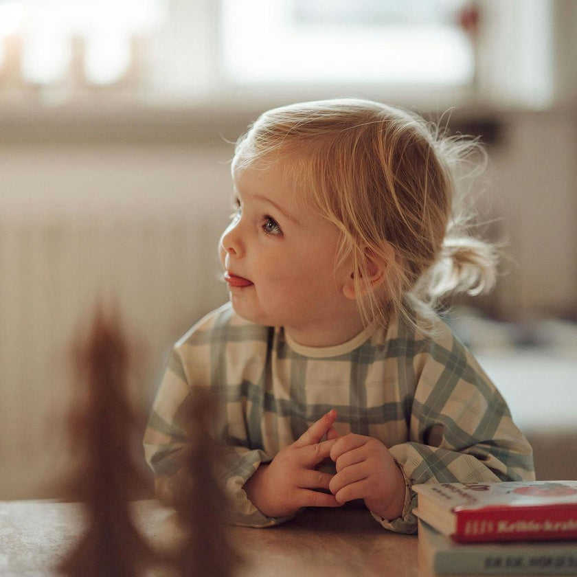 Smock Bib | Fern Plaid