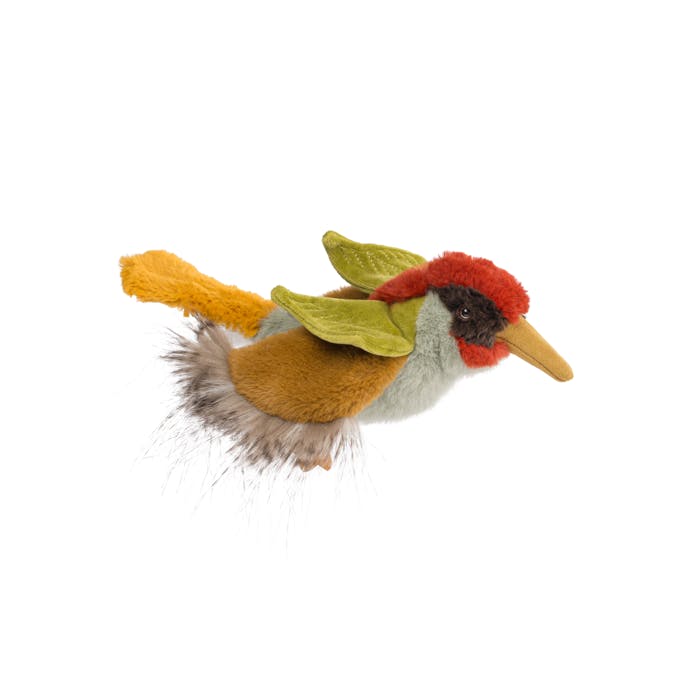 Green Woodpecker - All Around The World