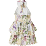 Seraphina Halter Neck Frill Mini Dress