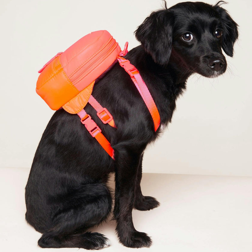 Dog Backpack