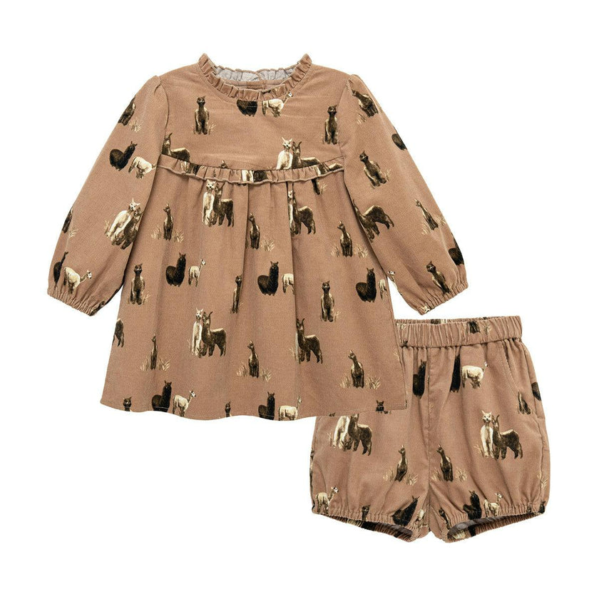 Corduroy Dress & Bloomer