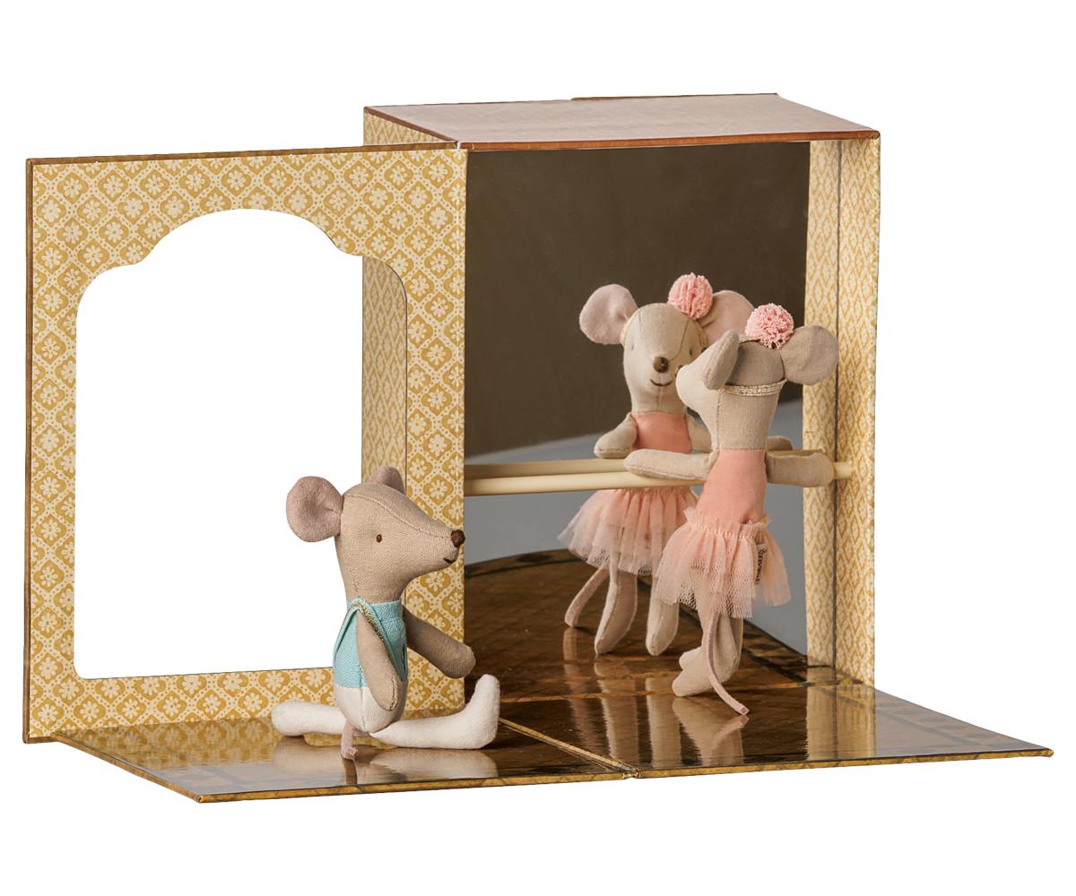 Ballet mice in dance studio, Little sister and brother