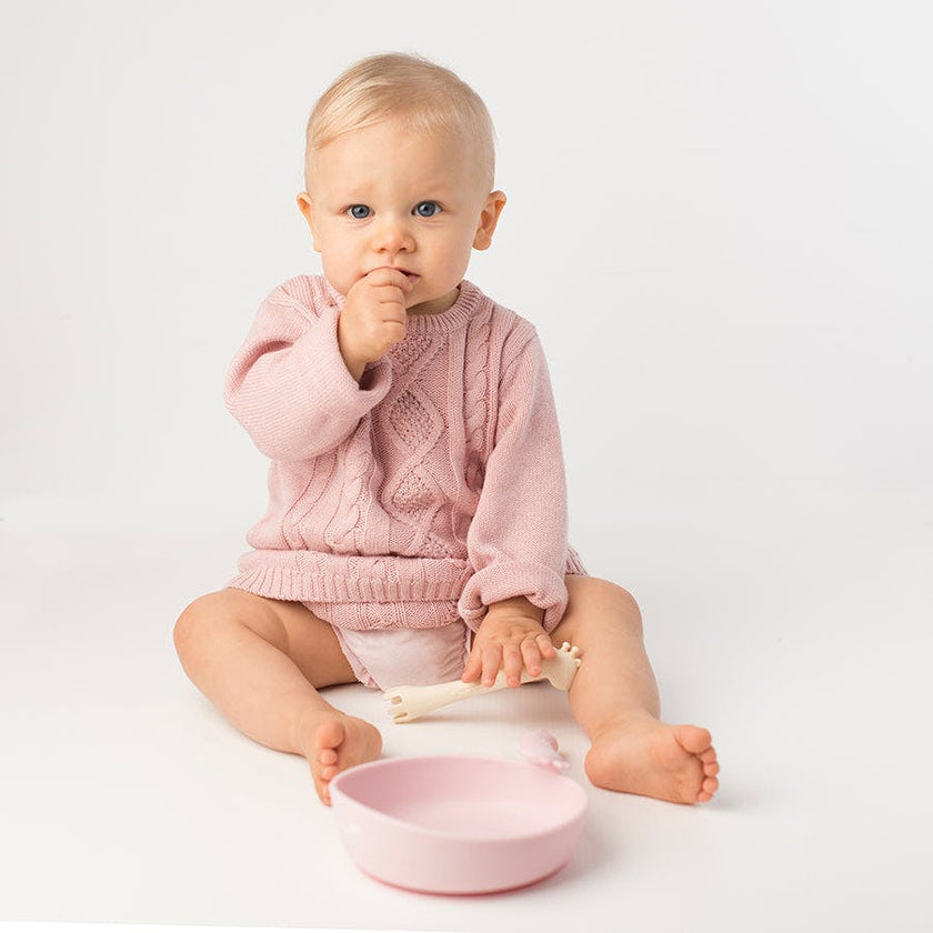 Silicone Baby Plate Bowl - Rose