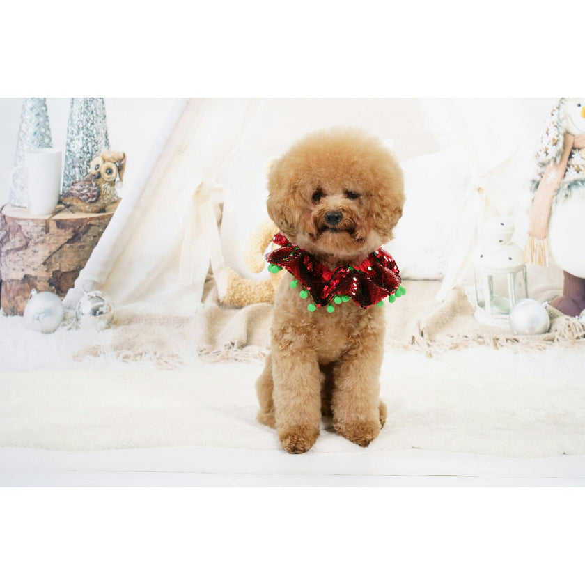 Red & Green Sequin Collar W/ Green Pom Pom, Red