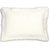 Picnic Gingham Toddler Pillow Set, Prints