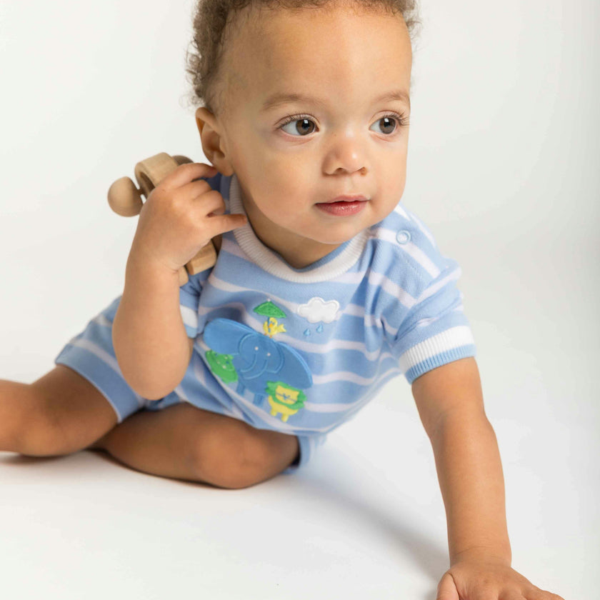 Stripe Knit Shortall With & Friends