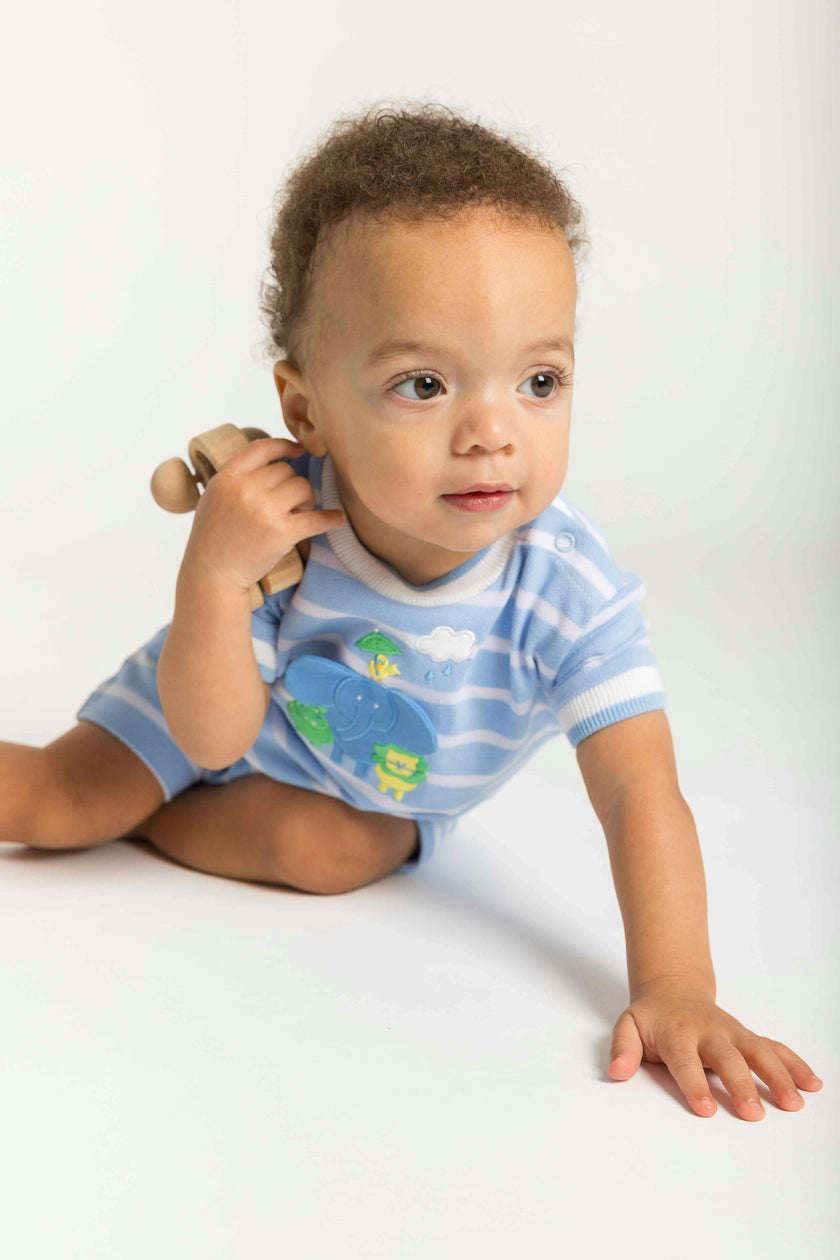 Stripe Knit Shortall With & Friends