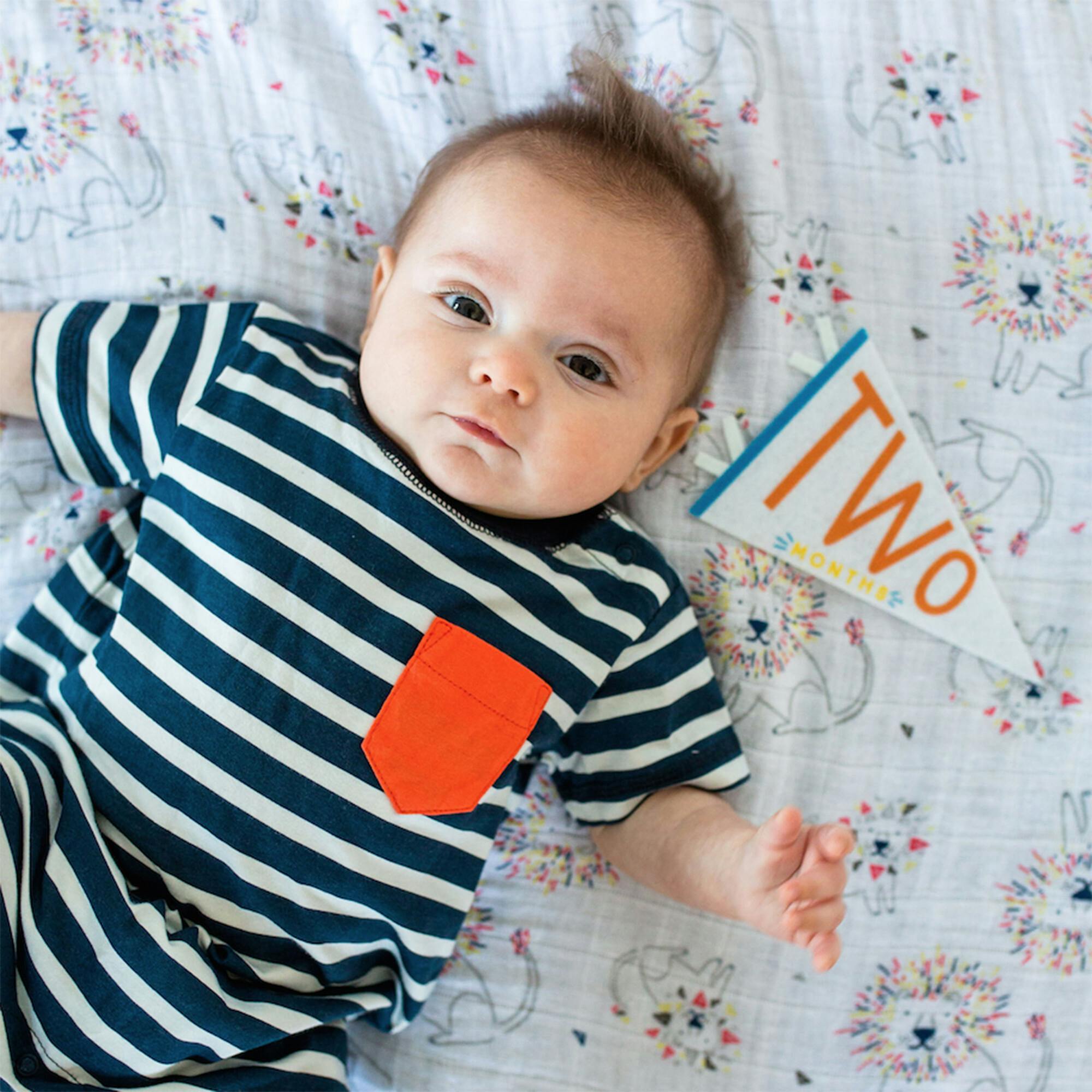 Little Kaleidoscope Petit Milestone Pennants