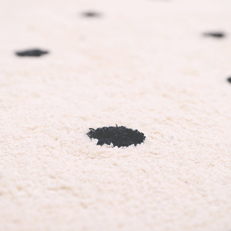 Numi Braided Tassel Rectangular Rug