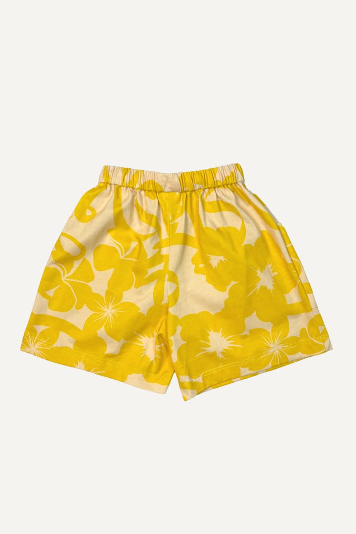 NEVIS BOARD SHORTS