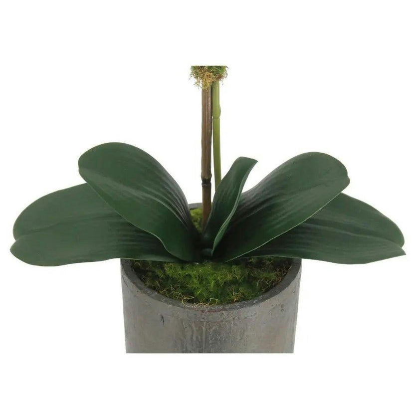 21" White Phalaenopsis Orchid in Textured Pot