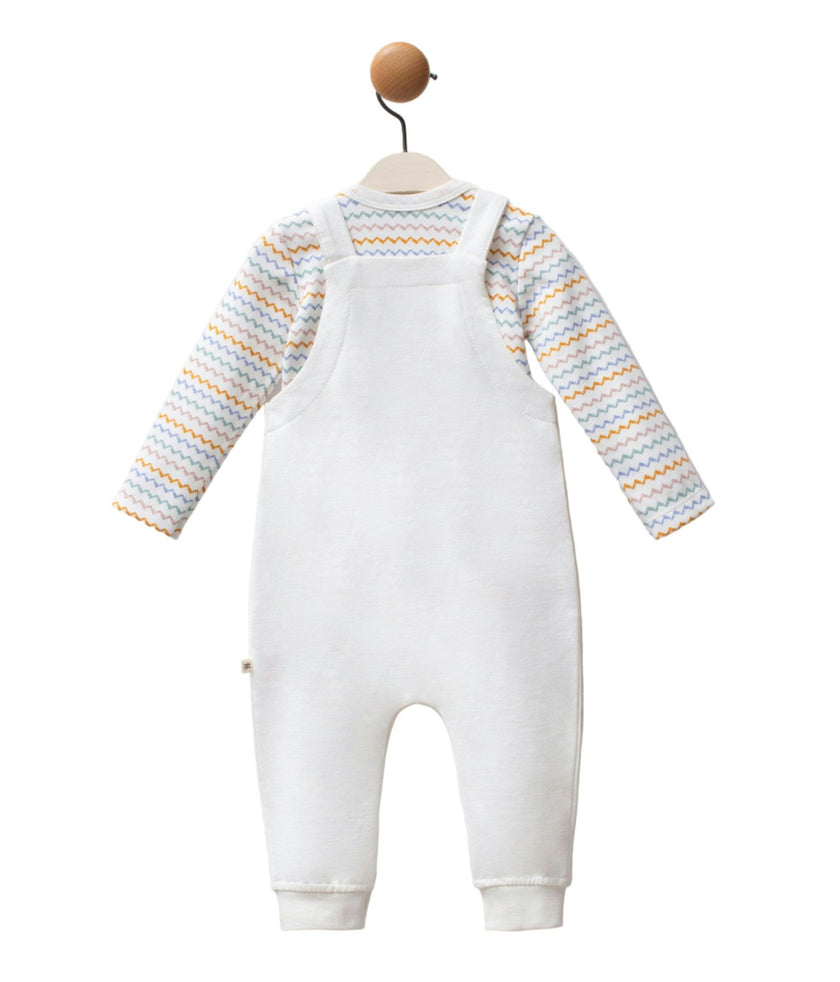 Multicolor Zigzag Overalls Set