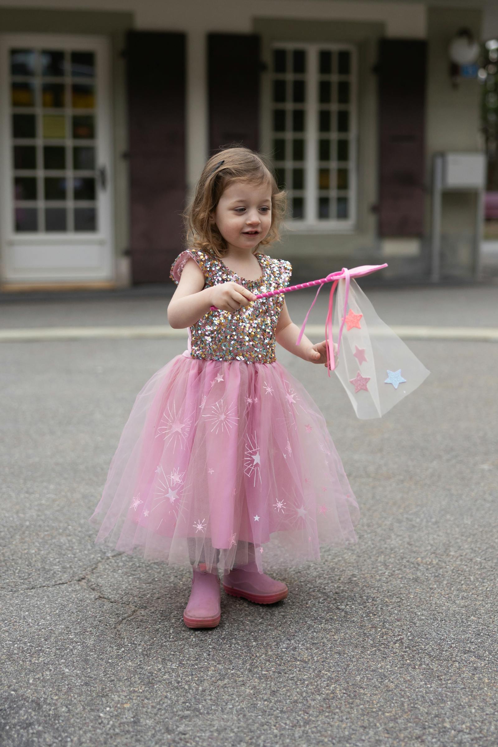 A Star is Born Sequins Dress