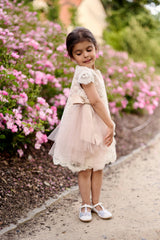 Premium French Lace Haute Couture Powder Pink Dress