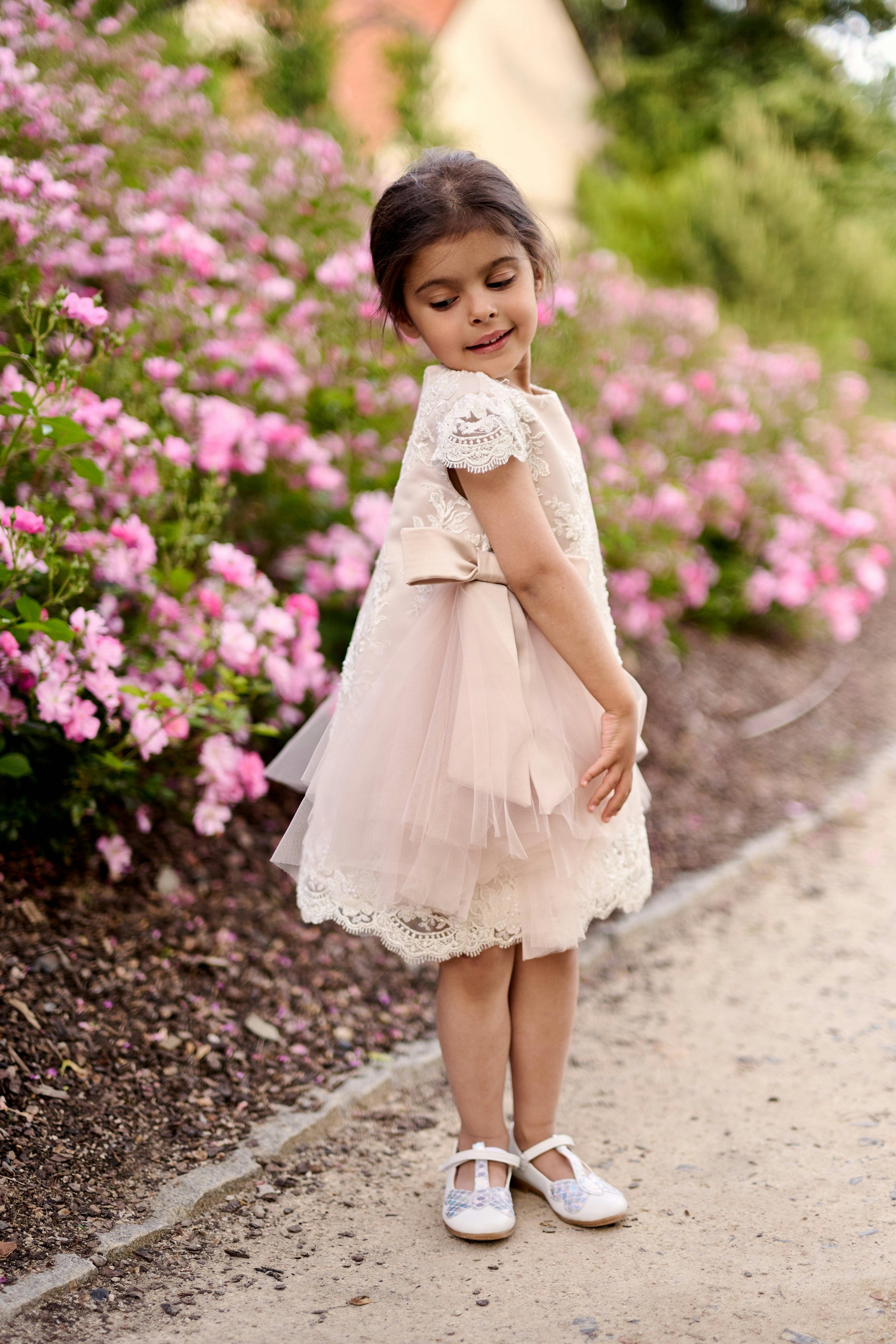 Premium French Lace Haute Couture Powder Pink Dress