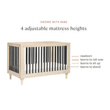 Babyletto Lolly 3-in-1 Convertible Crib with Toddler Bed Conversion Kit