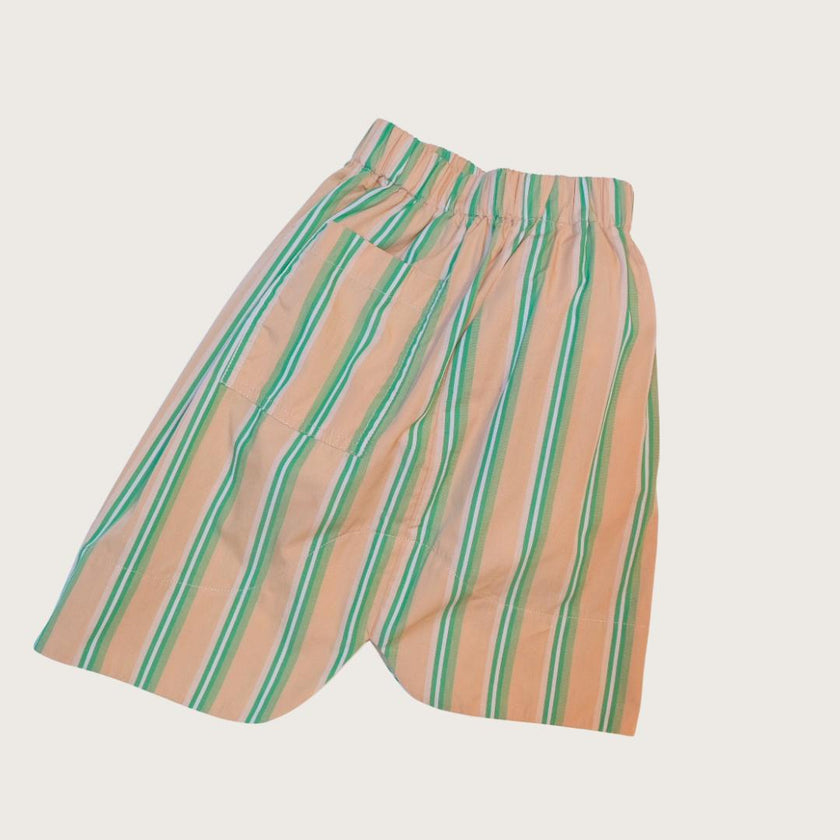 Linnea Green Stripe A-line skirt