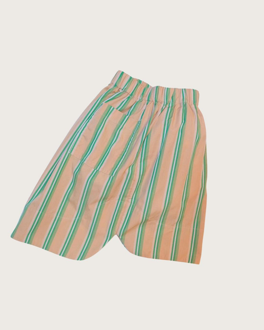 Linnea Green Stripe A-line skirt