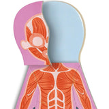 Hape: Human Body Magnetic Puzzle - 68pc