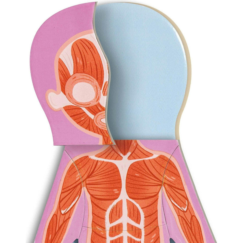 Hape: Human Body Magnetic Puzzle - 68pc