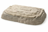 Digasaurus Sandbox - Excavation Activity