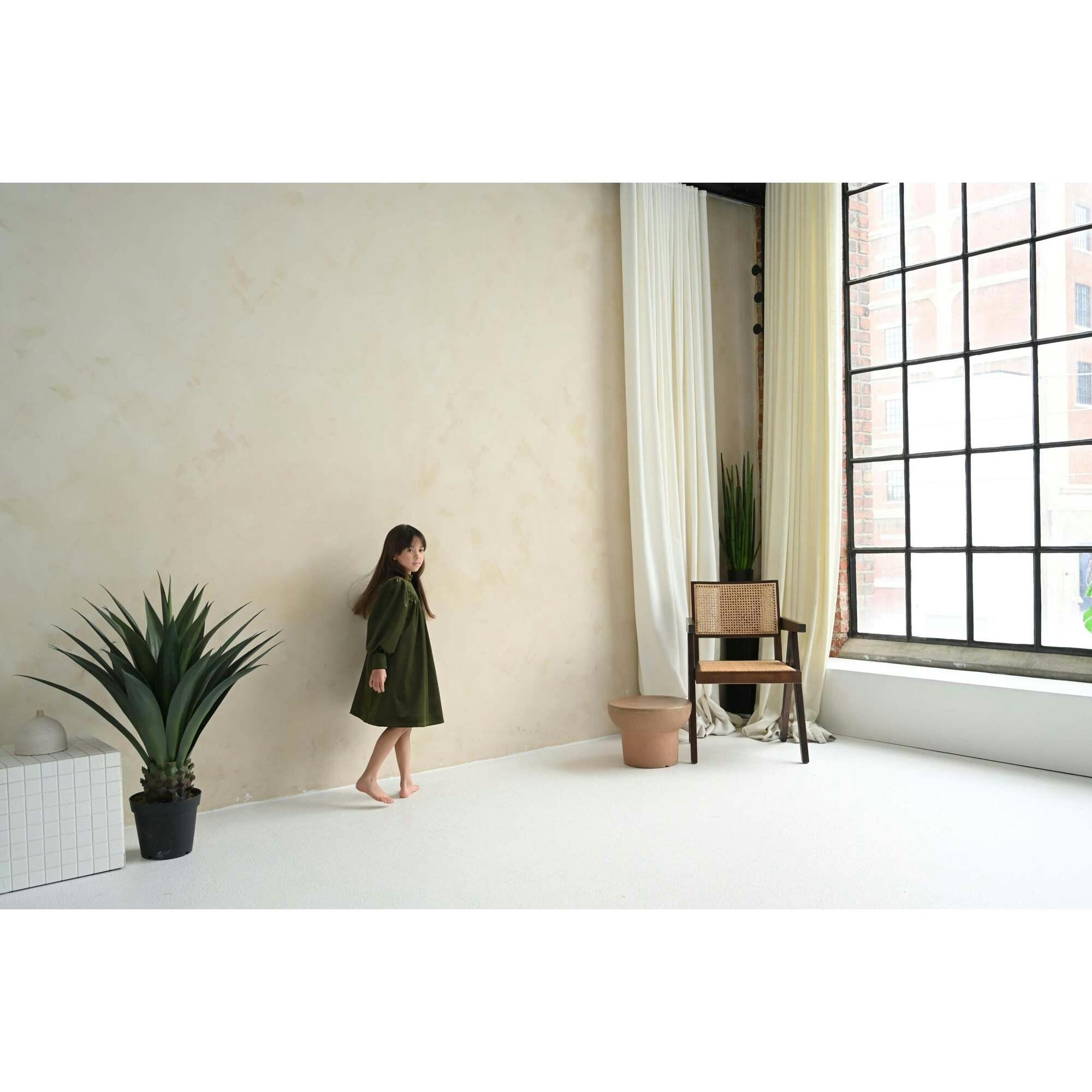 Rachel dress (olive-green velvet)