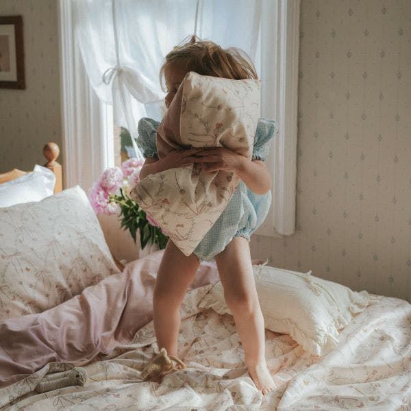 Bows & Butterfly Kisses Toddler Pillow Set